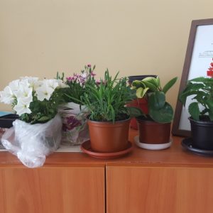 20190422_120420.jpg