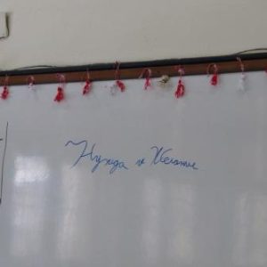 IMG_6295.jpg