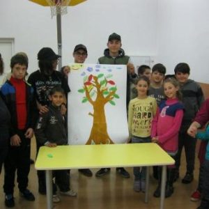 IMG_82411.jpg