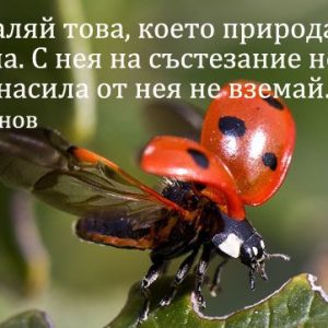 snimka-za-bioraznoobrazieto.jpg