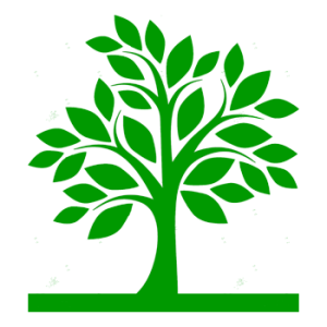 tree-1.png